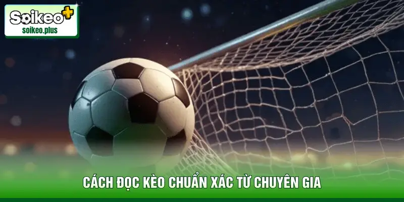 Cách đọc kèo chuẩn xác từ chuyên gia