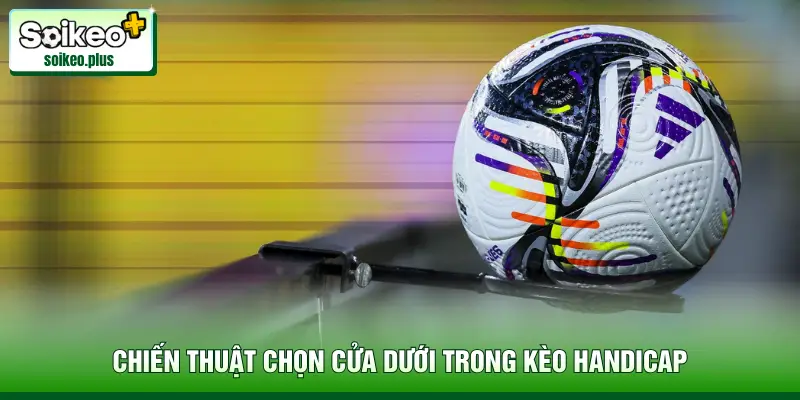 Chiến thuật chọn cửa dưới trong kèo Handicap