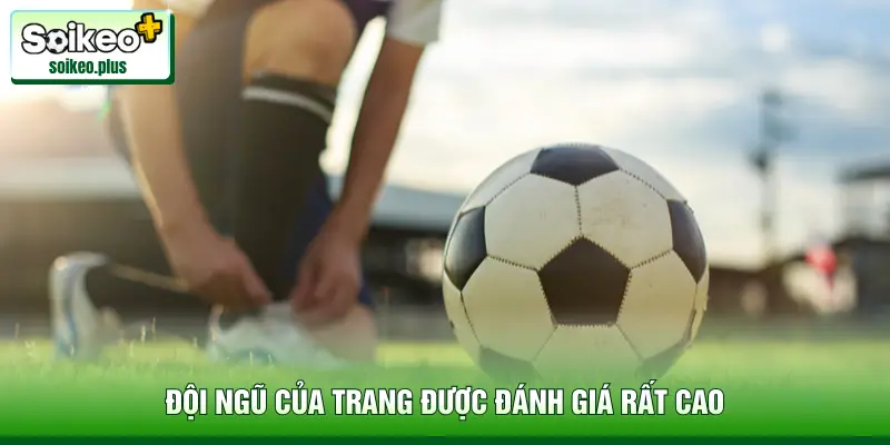 Đội ngũ của trang được đánh giá rất cao