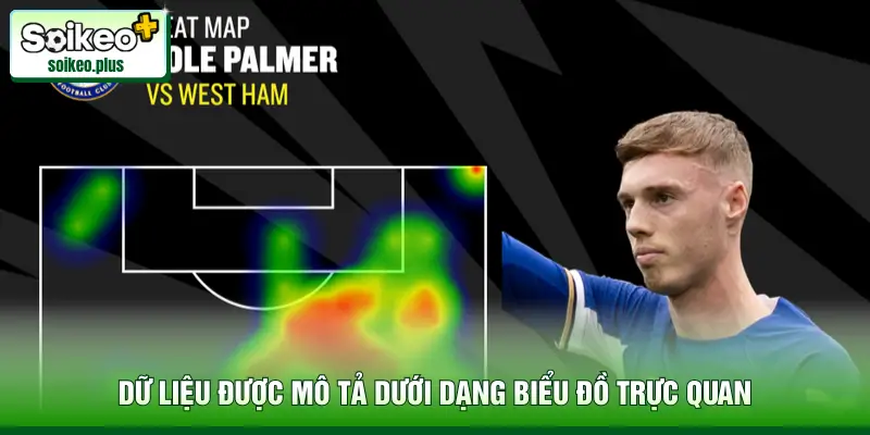 Dữ liệu được mô tả dưới dạng biểu đồ trực quan