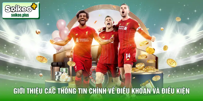 Giới thiệu các thông tin chính về điều khoản và điều kiện