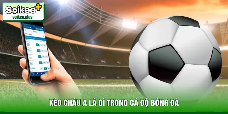 Kèo châu Á là gì trong cá độ bóng đá