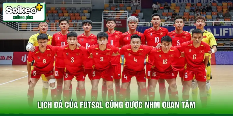 Lịch đá của Futsal cũng được NHM quan tâm