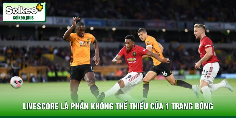 Livescore là phần không thể thiếu của 1 trang bóng