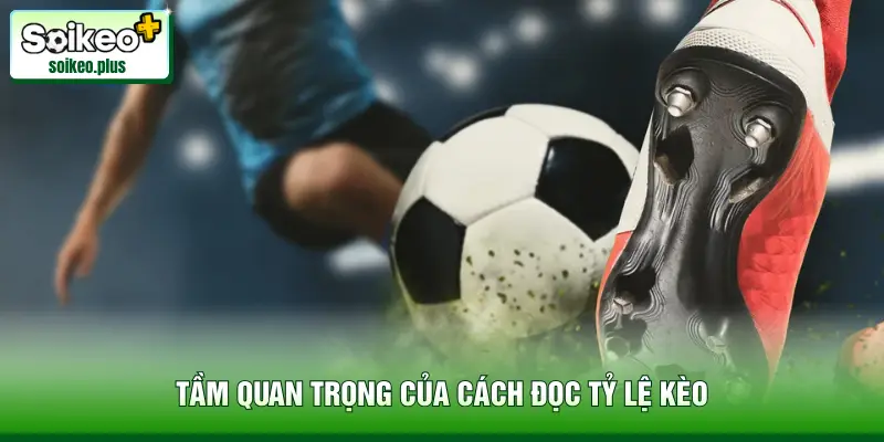 Tầm quan trọng của cách đọc tỷ lệ kèo